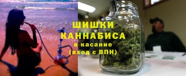 тгк Дмитриев
