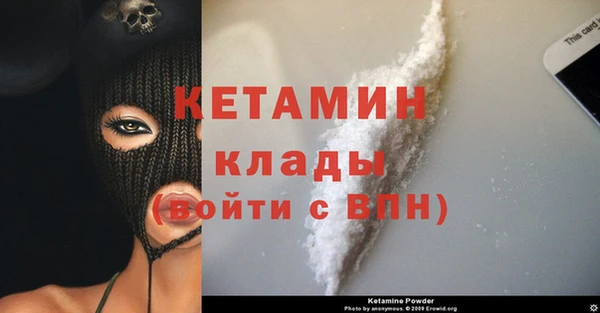 тгк Дмитриев