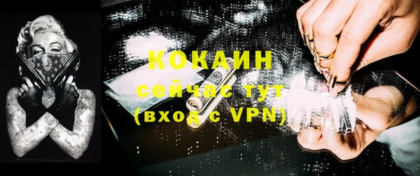 ПСИЛОЦИБИНОВЫЕ ГРИБЫ Елизово