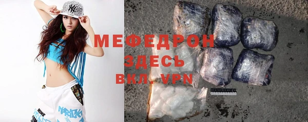 тгк Дмитриев