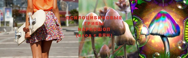 ПСИЛОЦИБИНОВЫЕ ГРИБЫ Дмитровск